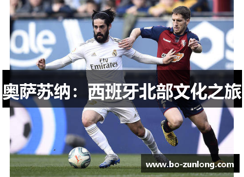 奥萨苏纳：西班牙北部文化之旅