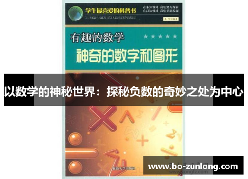 以数学的神秘世界：探秘负数的奇妙之处为中心